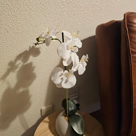 Appartement Sol Ii By Only Atlantic Funchal (Madeira)